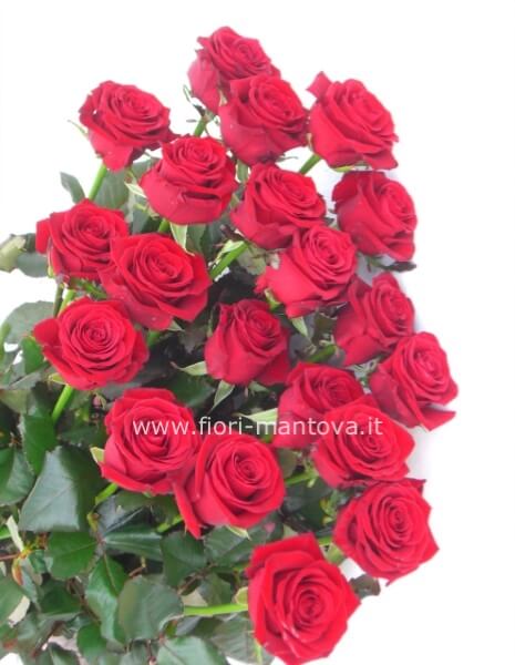 Rose rosse varietà Red Naomi 70/80cm