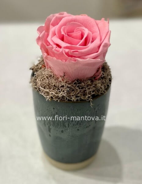 Rosa Stabilizzata in vaso ceramica